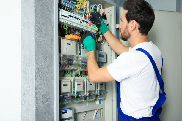 Best Electrical System Inspection  in Saline, MI
